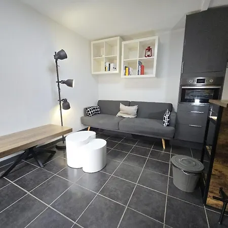 Duplex Au Centre * Strasbourg